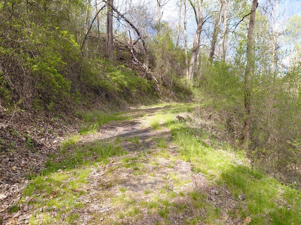 Picture 5