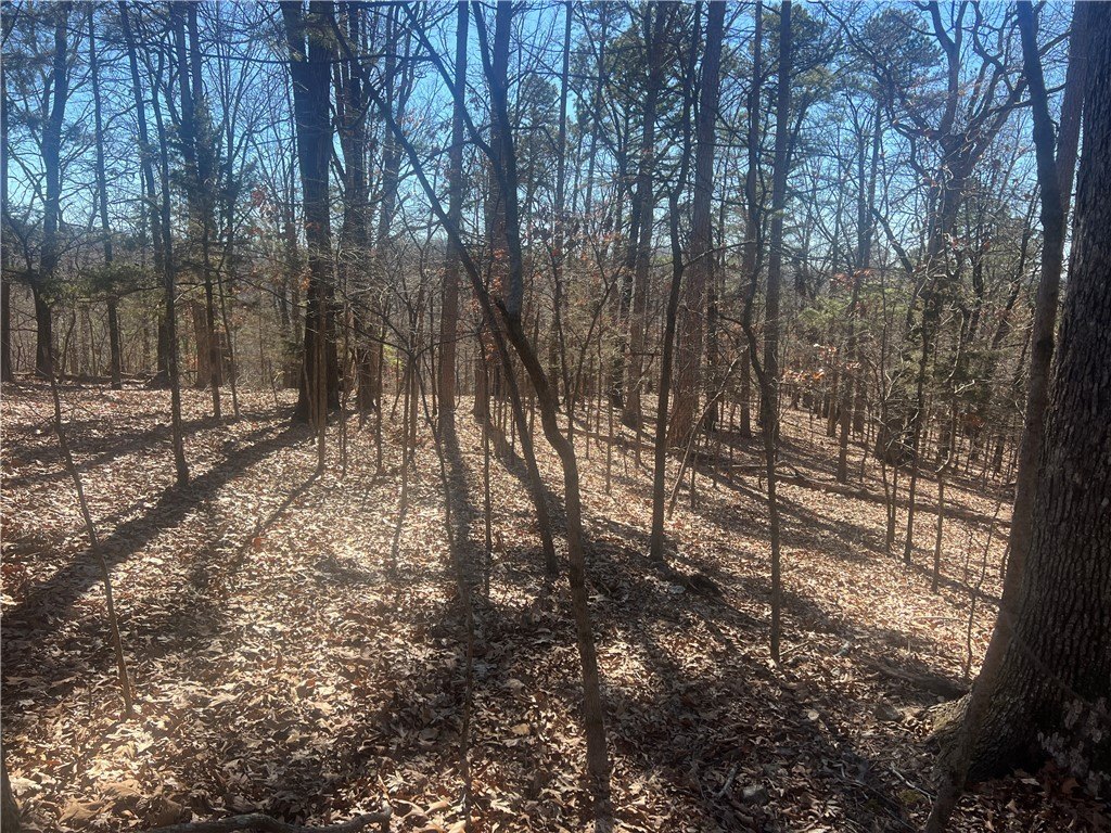 Picture 11