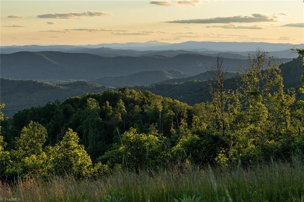 Mountain Property with Unparalleled Views