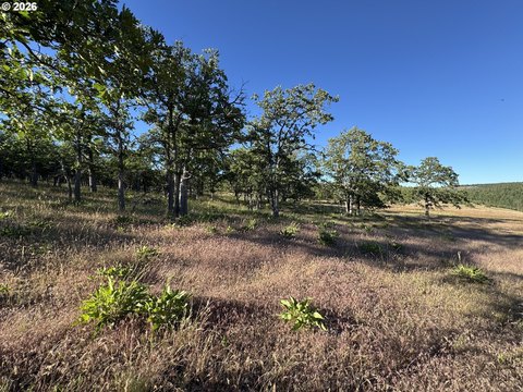 Recreational Land for RV and Camping