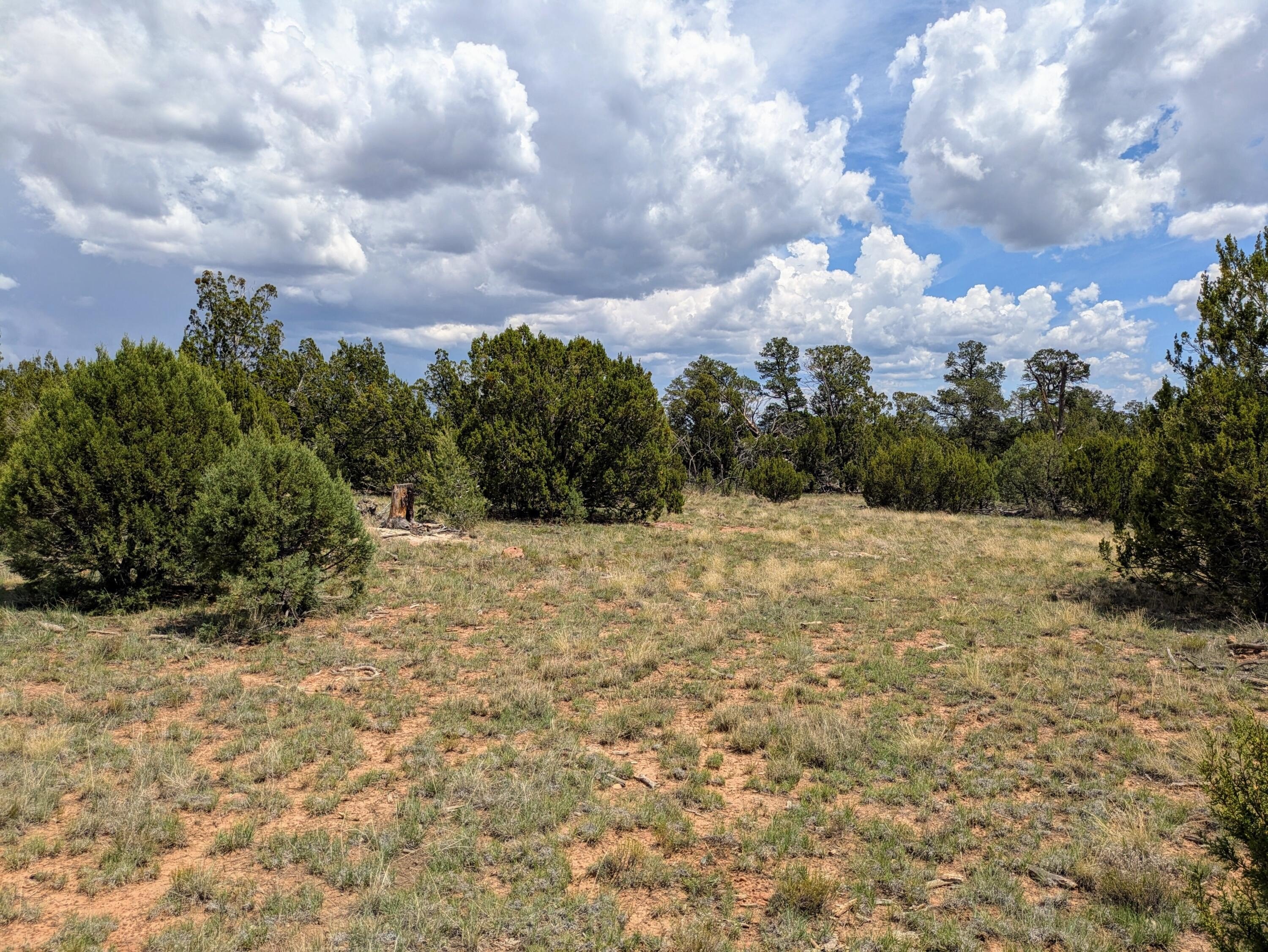 5-Acre Land Parcel in Happy Jack
