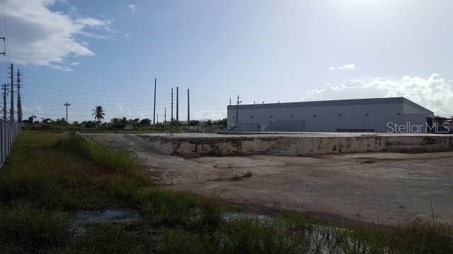 Picture 4