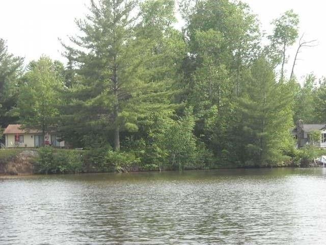 Picture 3