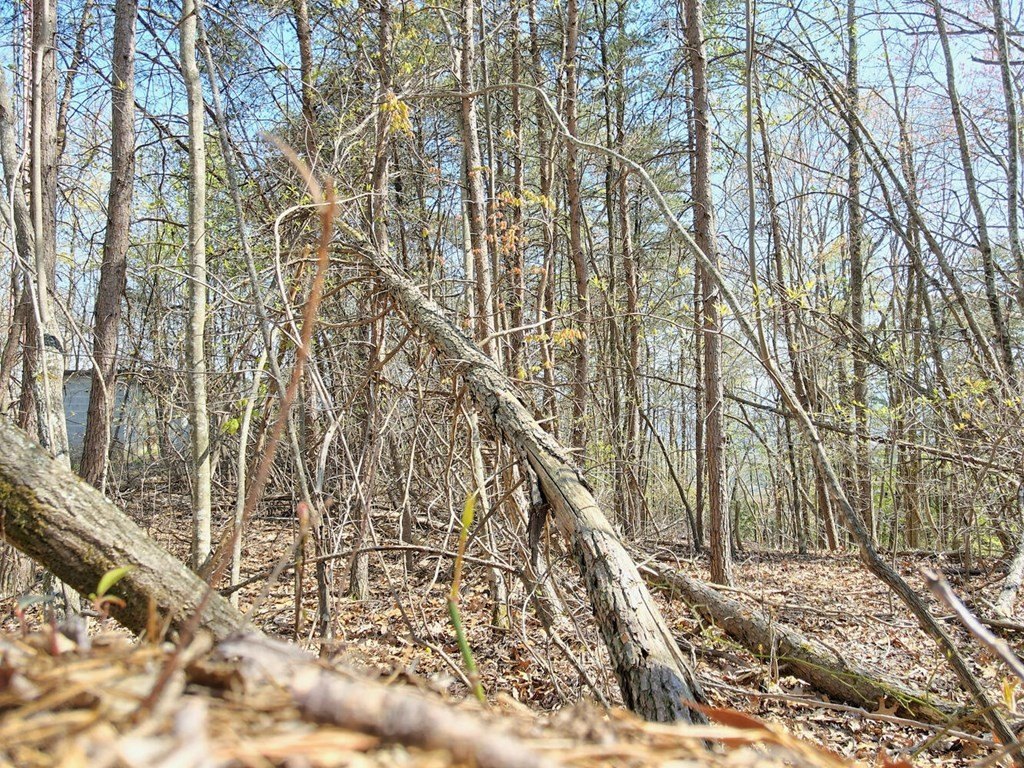 Picture 3