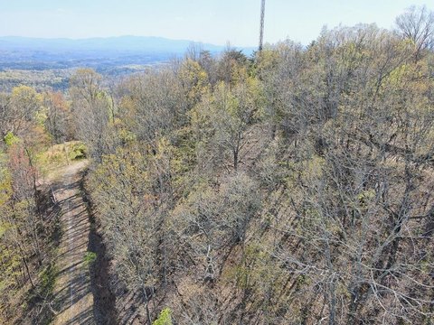 Vacant Lot - Mineral Bluff, GA