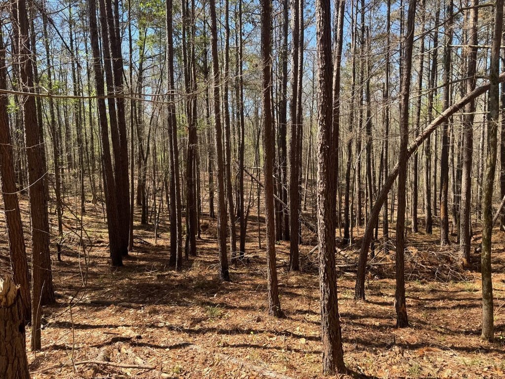 Picture 19