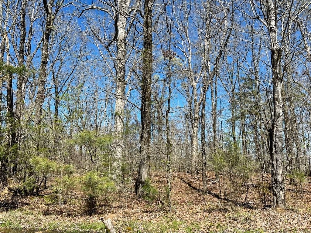 Picture 25