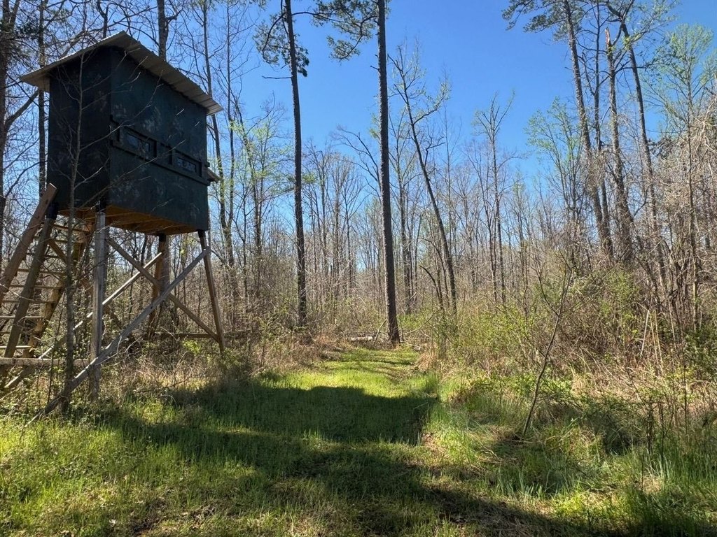 Picture 17