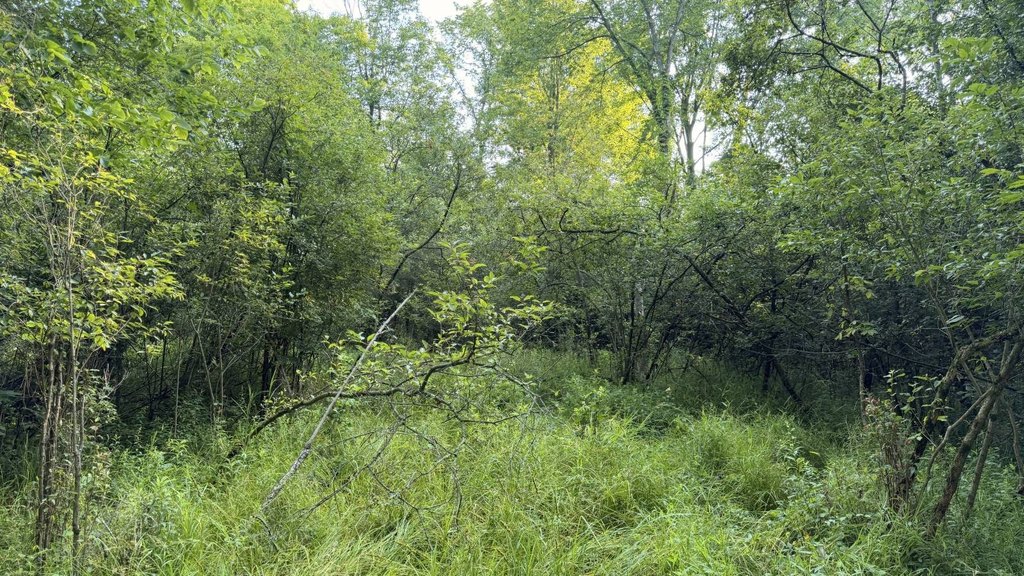 Picture 31