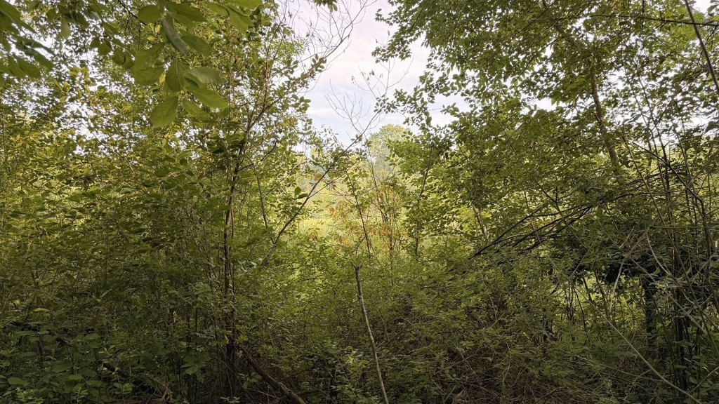 Picture 24
