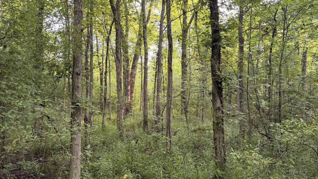 Picture 39