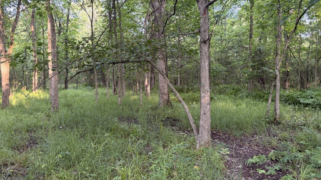 Picture 45