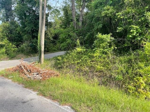 Wooded Lot Overlooking Lake Talquin