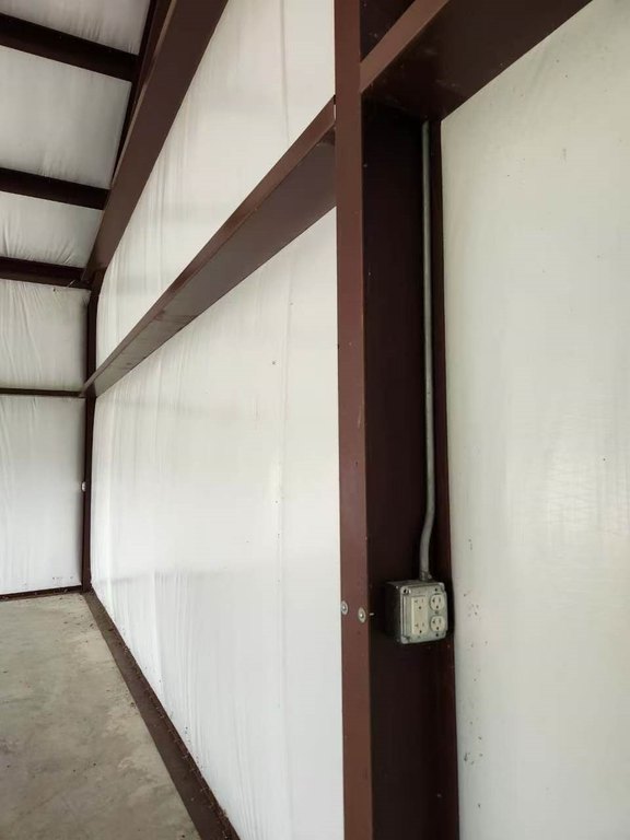 Picture 11