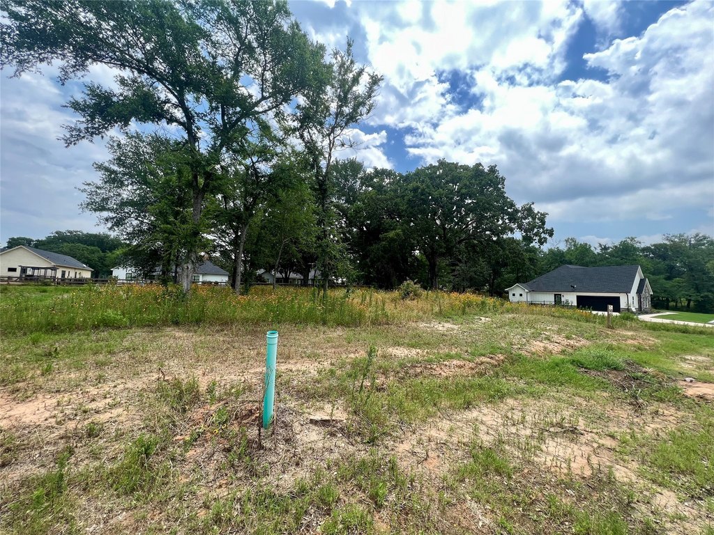 Picture 24