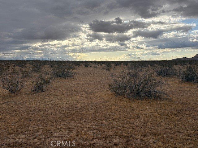 Picture 2
