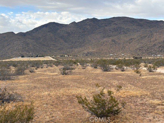 Picture 3