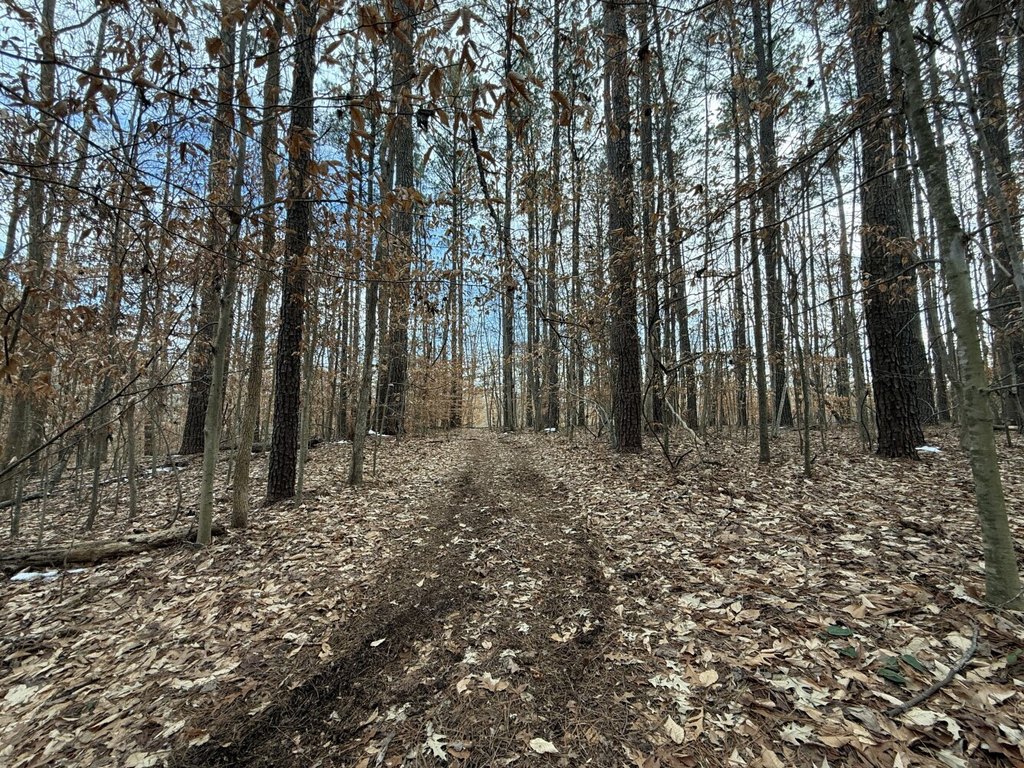 Picture 8