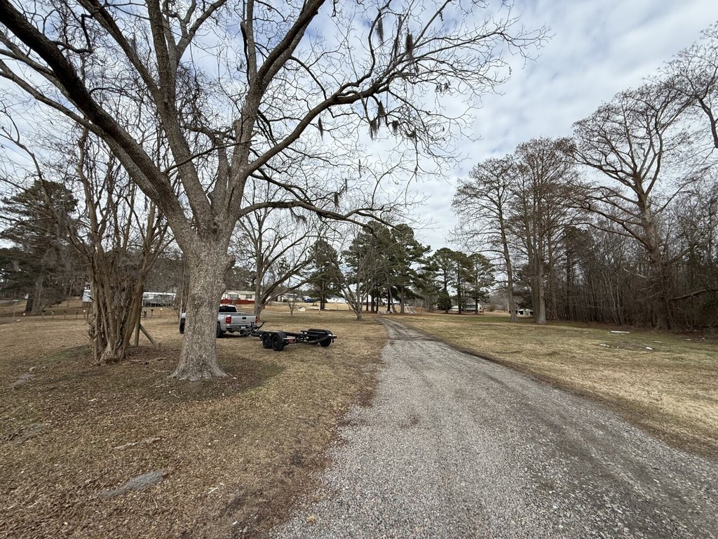 Picture 11