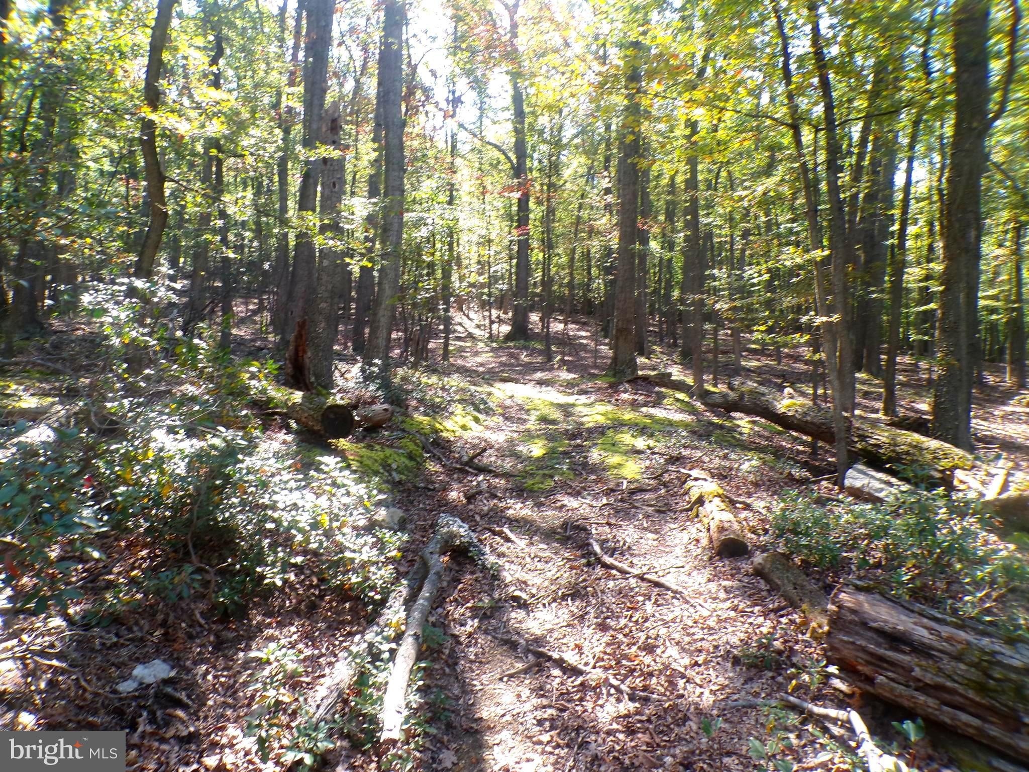 Land in Augusta, WV