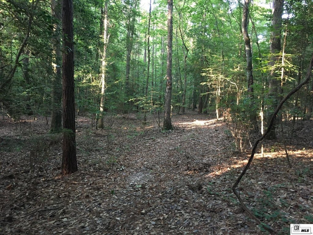 Picture 26