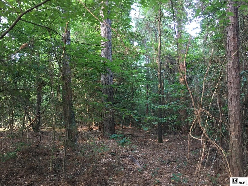 Picture 19