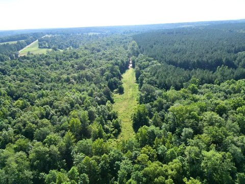 145 Acres in Brundidge, AL