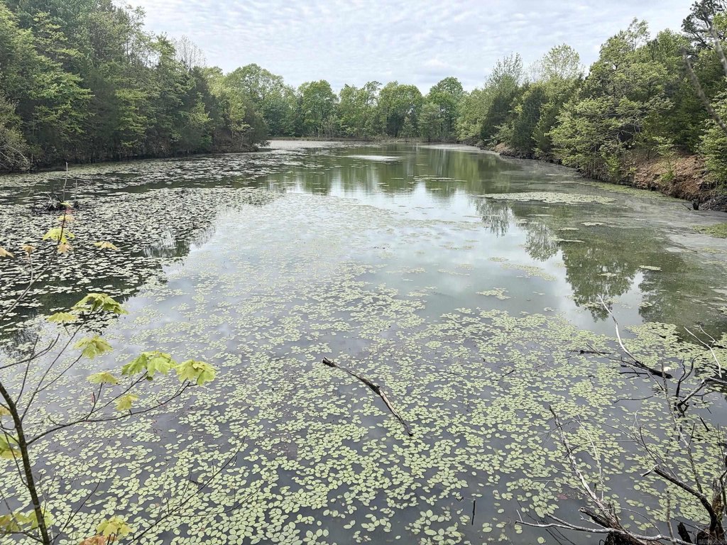 Picture 26