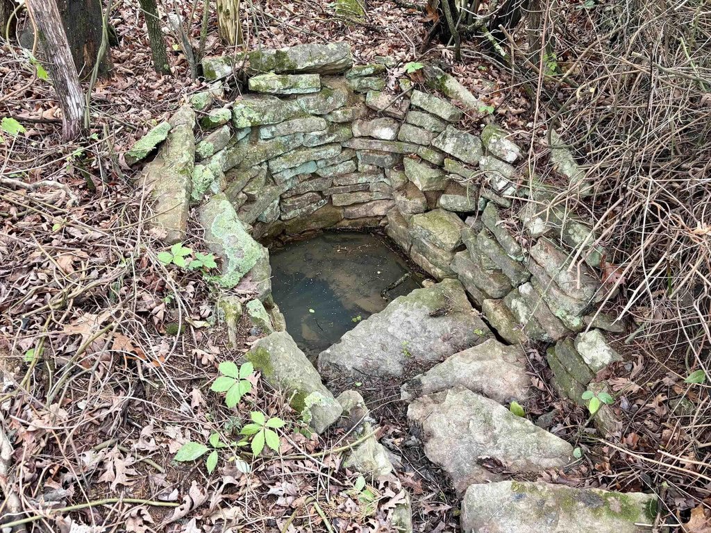 Picture 14