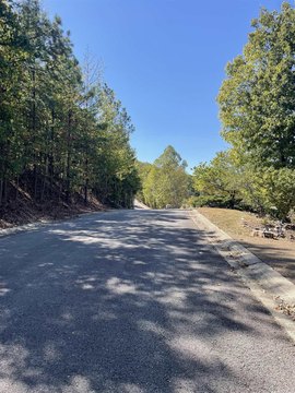 Lake Hamilton Land Opportunity