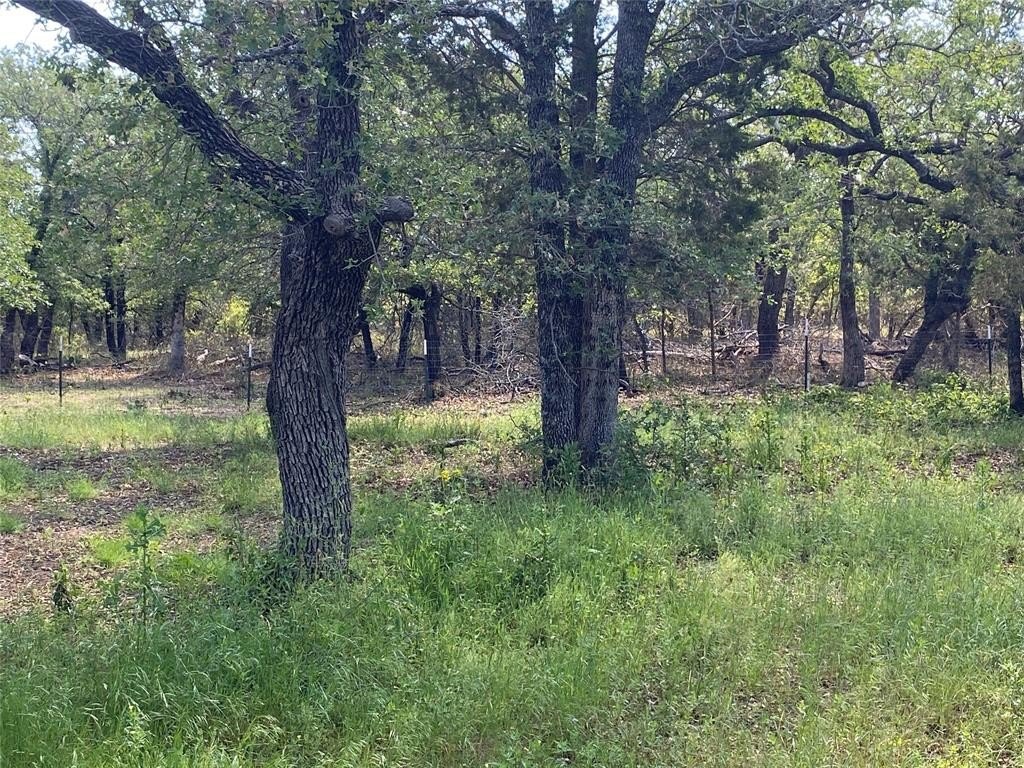 Picture 38
