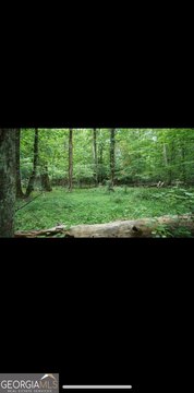 Picture of Land at Heather Row Rdg SW 2877, Lilburn, GA