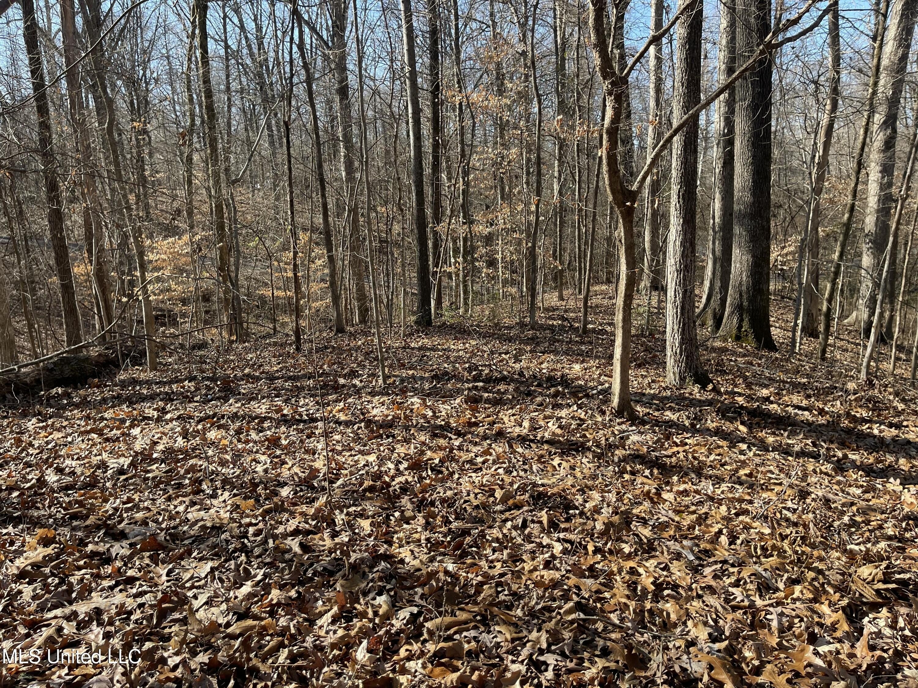 Residential Land in Lake Community