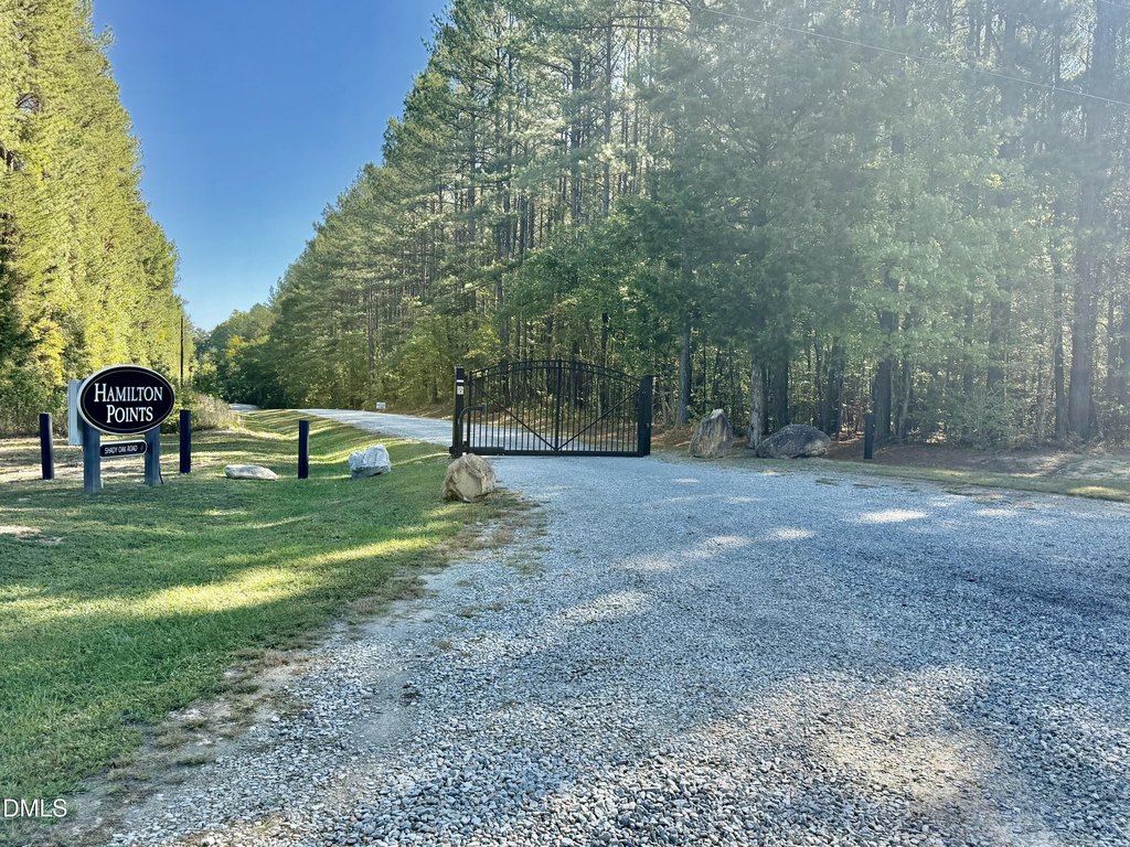 Picture 16