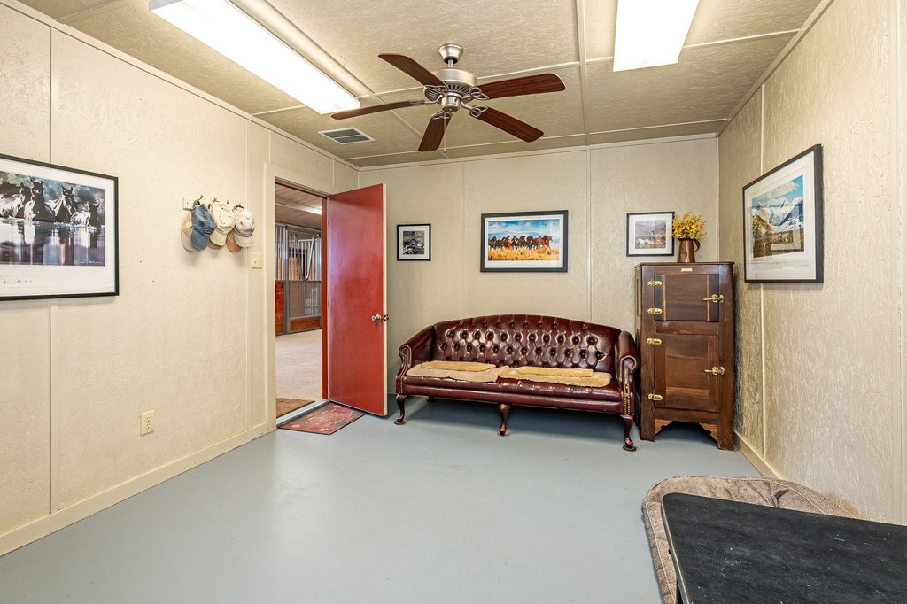 Picture 31
