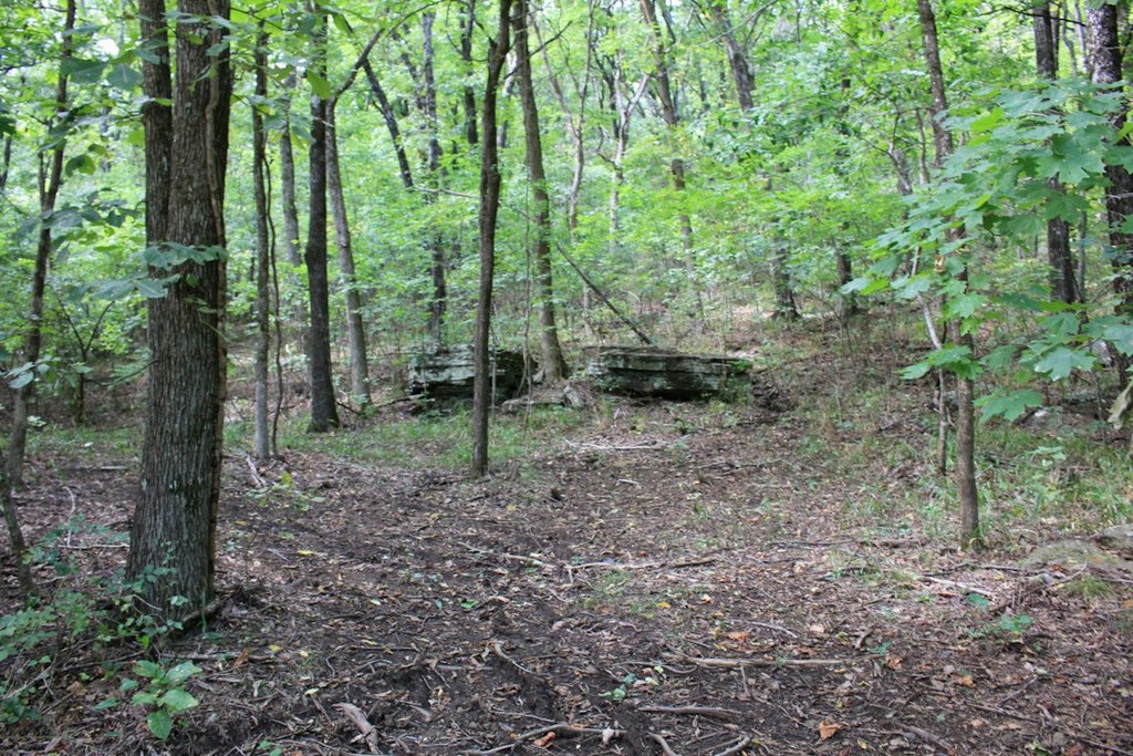 Picture 5