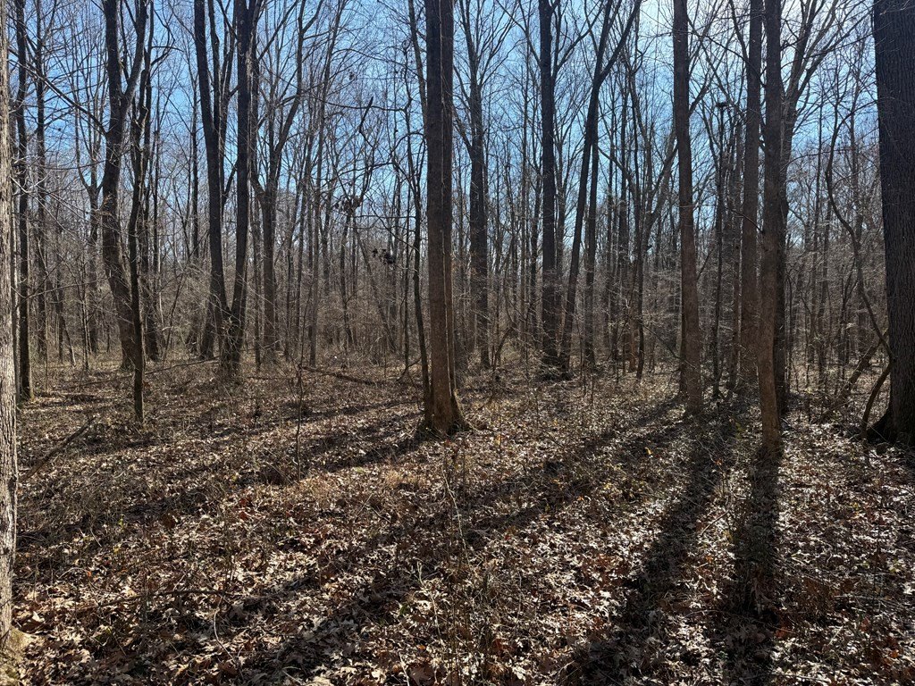 Picture 14