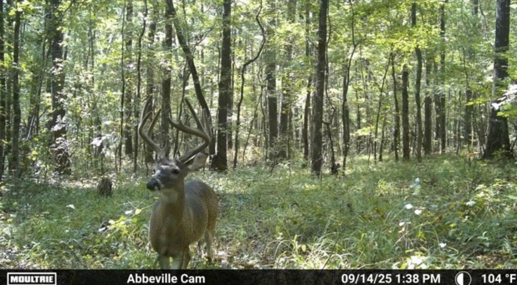 Picture 2