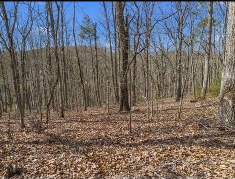 Land, Newport, TN