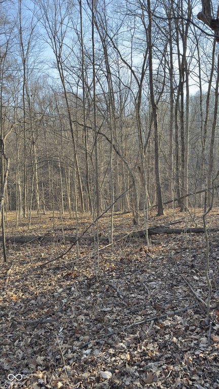 Picture 3