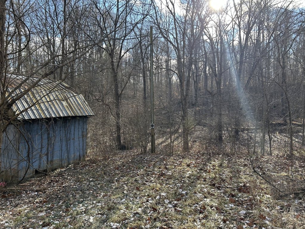 Picture 6