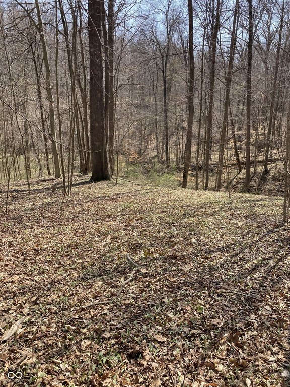 Picture 11