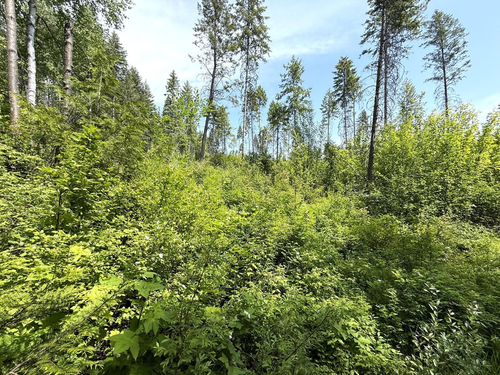 Picture 20