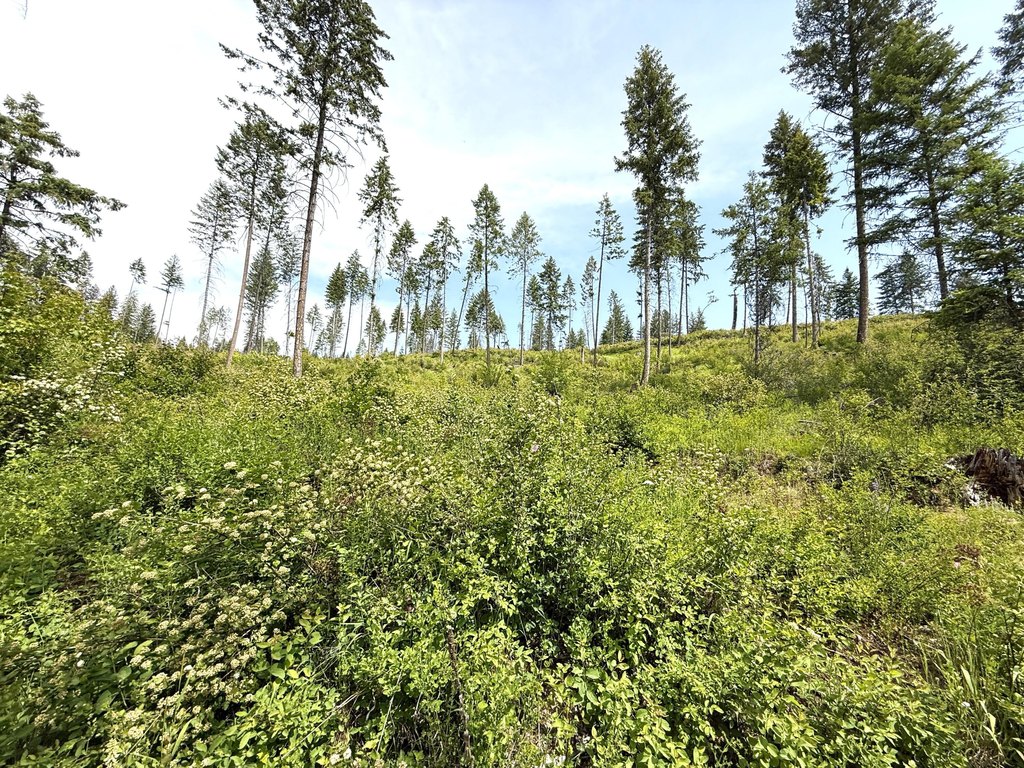 Picture 24