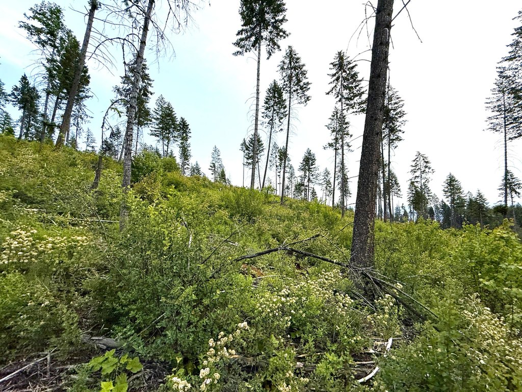 Picture 29