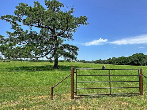 Land in Athens, Texas