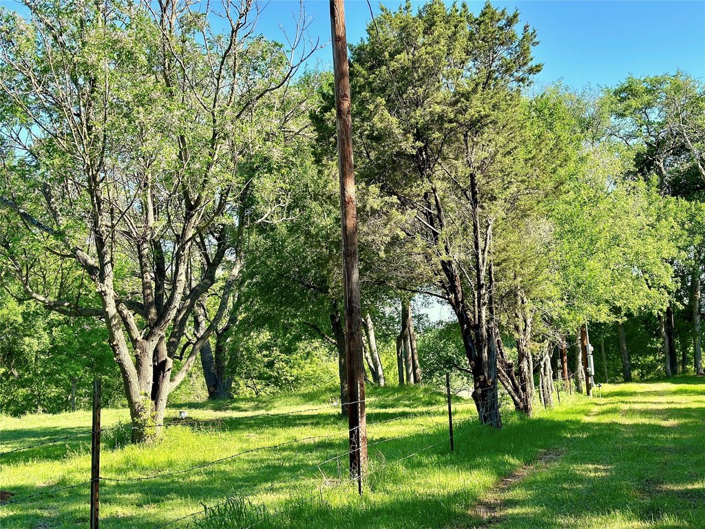 Picture 7