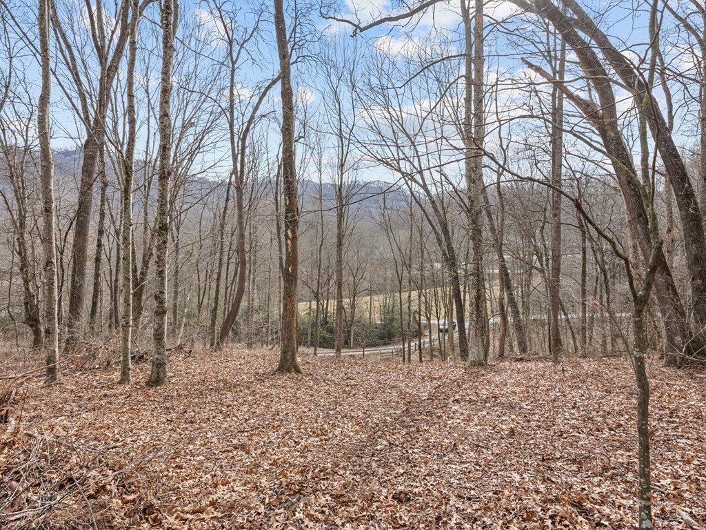 Picture 12