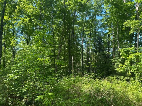 Pelican Lake Buildable Acreage