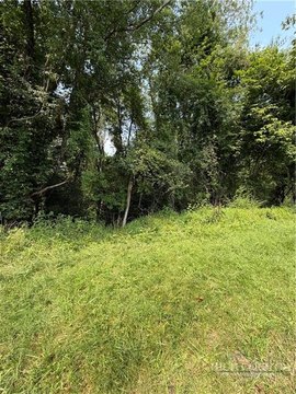 Residential Lot in Alleghany Manor